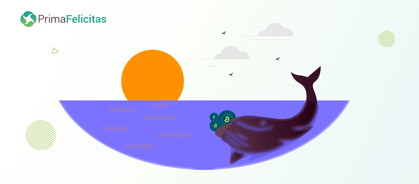 Bitcoin whales Who are the most significant players in the cryptocurrency market featured image