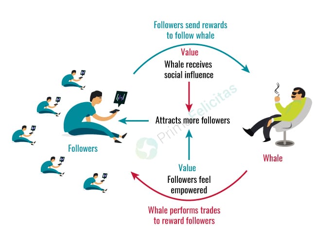 whale-influence-BTC image
