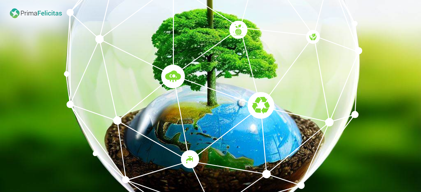 Exploring IoT Role in Environmental Sustainability