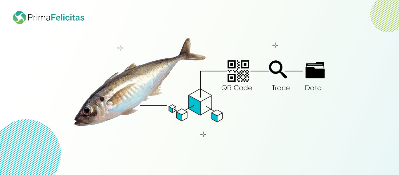 Blockchain Adoption for Fishery Supply Chain Traceability